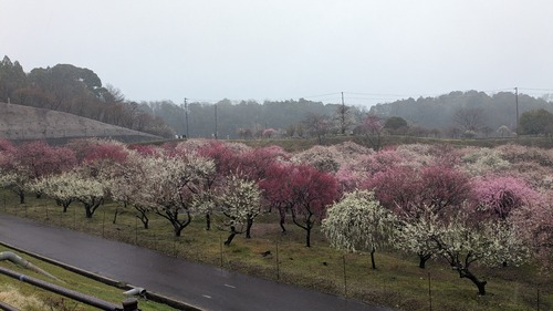 PXL_20260303_024808440