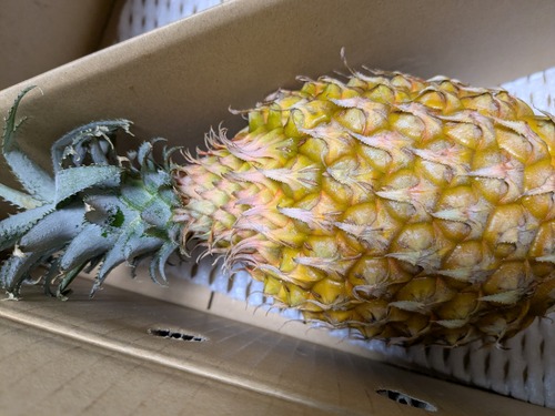 PXL_20250423_104007328