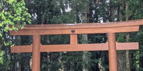 aaaa