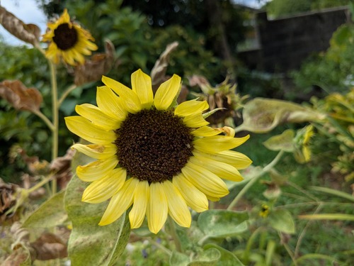 PXL_20250807_022703629