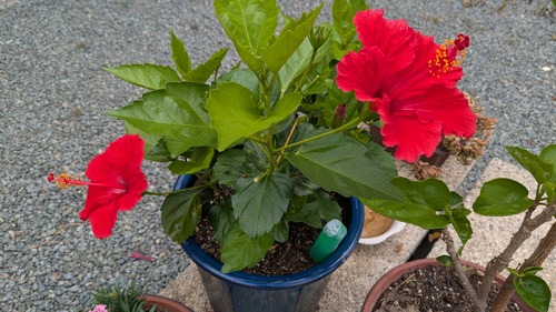 PXL_20260624_003744350