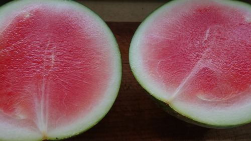 DSC_0001_BURST20200809121104421