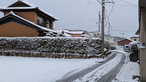 PXL_20260208_230423142