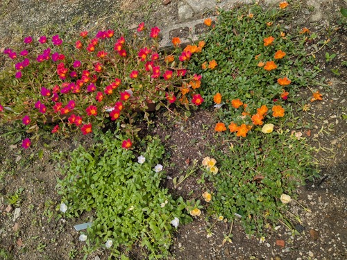 PXL_20250703_014446885