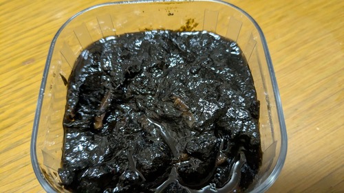 PXL_20260131_030653271