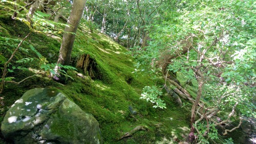 DSC_0000_BURST20191007105314941