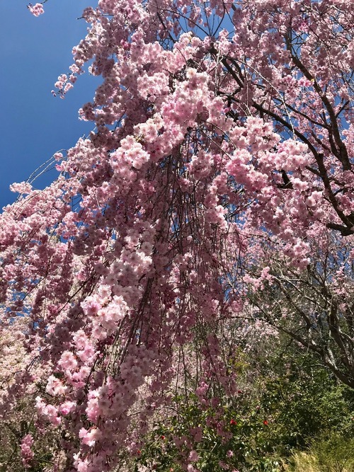 line_639821370929467