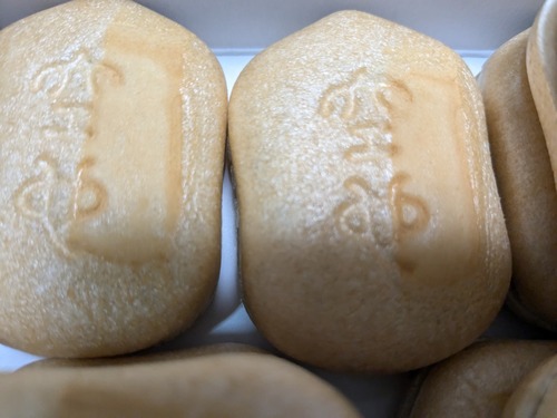 PXL_20240729_060251654