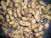 697ca4d6.jpg