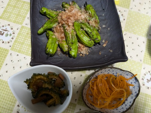 PXL_20240709_090217540