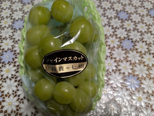 PXL_20250831_075220889