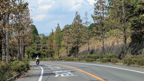 aaaa