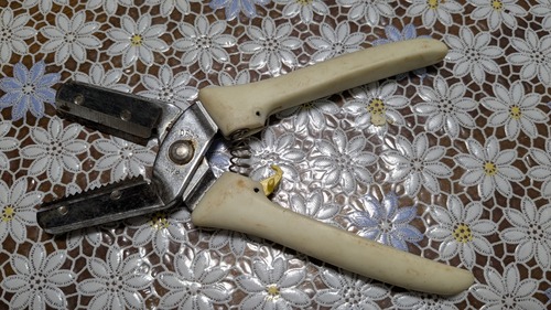 PXL_20251026_045546265