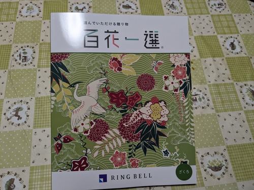 PXL_20240215_032057416