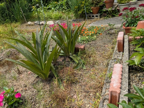 PXL_20250703_014335154