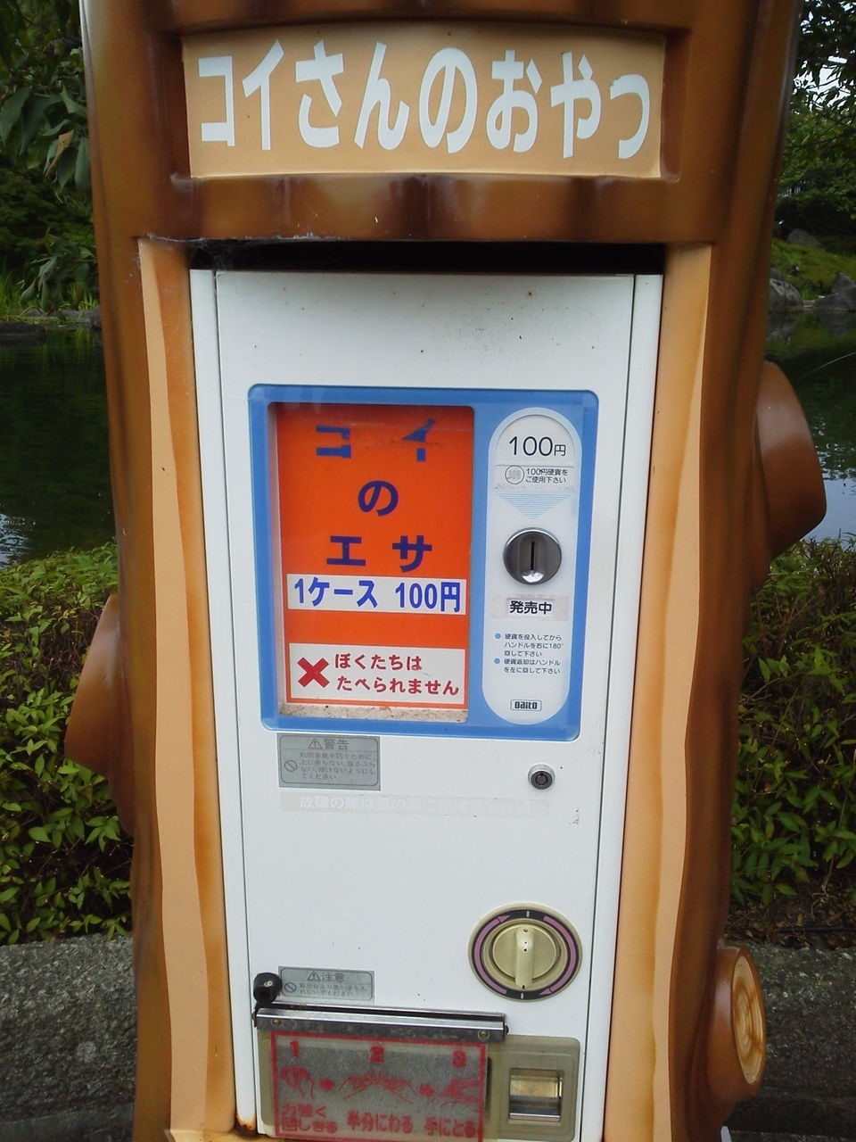 こんにちは のんきです 鯉の餌 こんにちは のんきです 鯉の餌