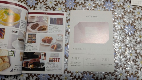 PXL_20251125_052925249