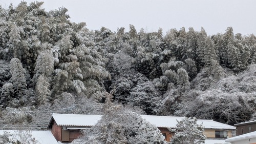 PXL_20260208_230432754