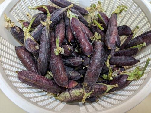 PXL_20240504_232505842