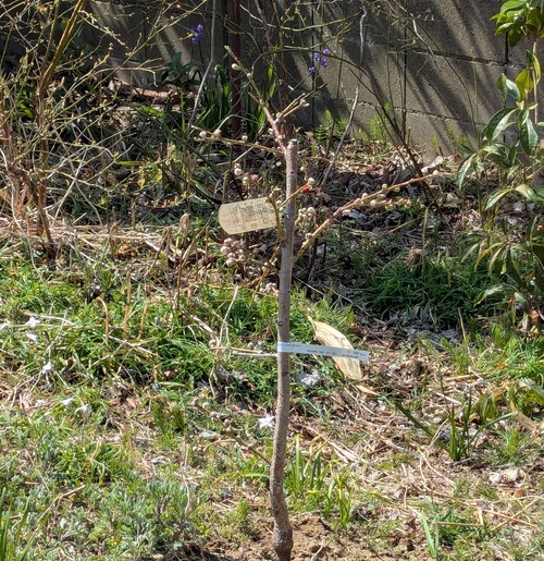 PXL_20260324_013403859