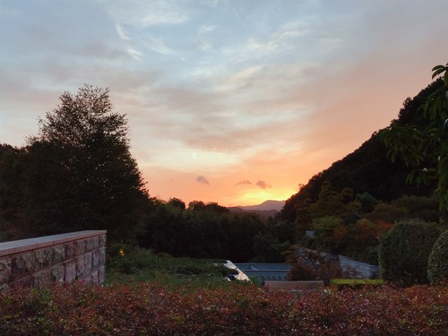 2019-10-6 京都_191008_0006