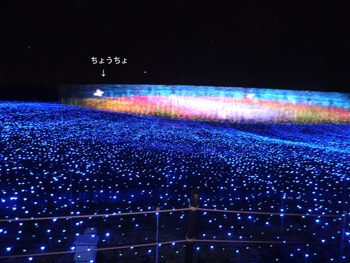 DSCF0180sのコピー