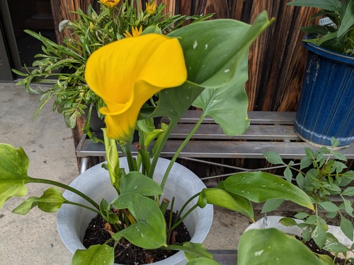 PXL_20250807_022603684