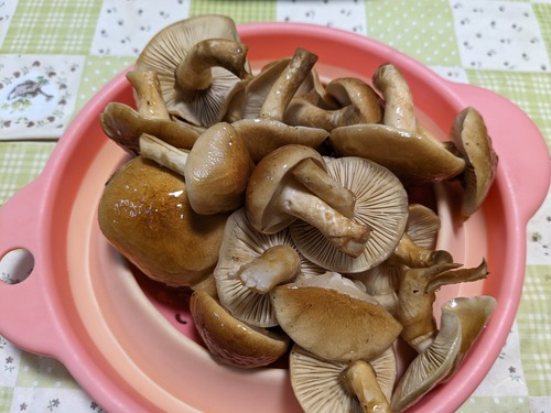 PXL_20231206_075331359