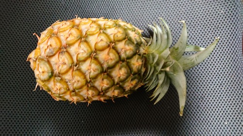 DSC_0001_BURST20200713080148072