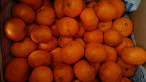 DSC_0001_BURST20210213133954904