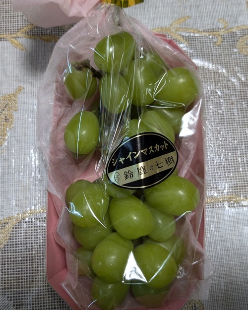 PXL_20240826_083138481