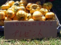 84f37857.jpg