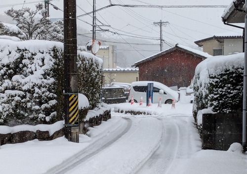 PXL_20250208_024010212