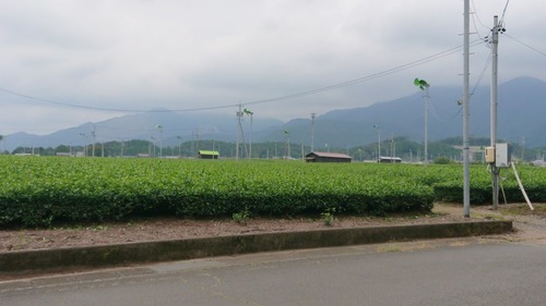 DSC_0000_BURST20190928120226045