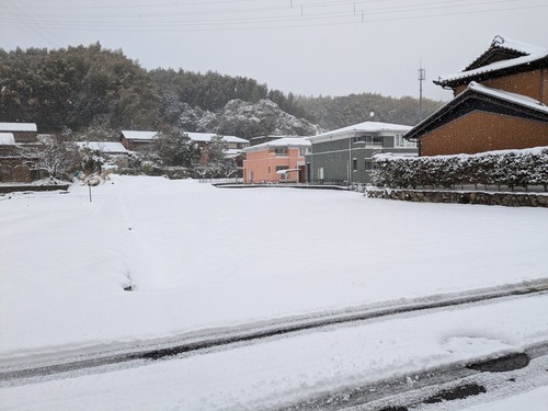 PXL_20250208_023943253