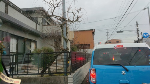 DSC_0001_BURST20200222113250646