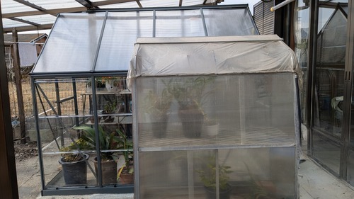 PXL_20260105_011622312~2