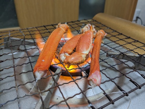 PXL_20240319_085008866