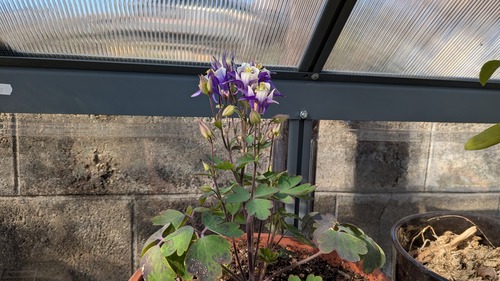 PXL_20260219_002617095