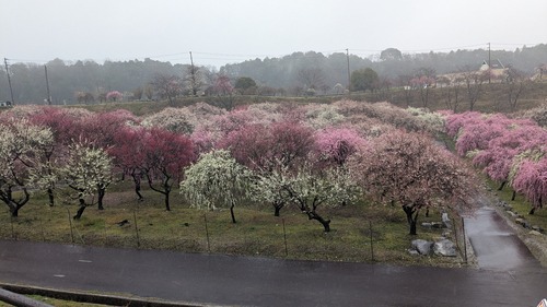 PXL_20260303_024812042