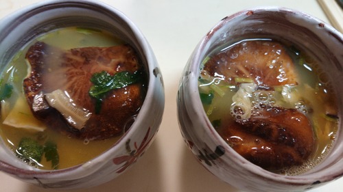 DSC_0001_BURST20210620174318813