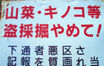 8e28c2a5.jpg