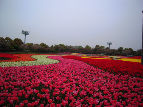 DSCN5330