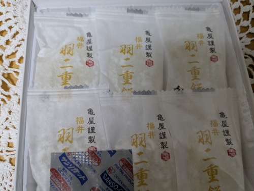 PXL_20250608_095801716