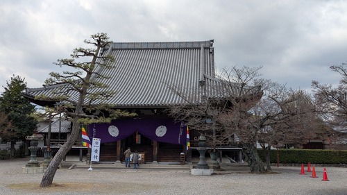 PXL_20260323_034749591