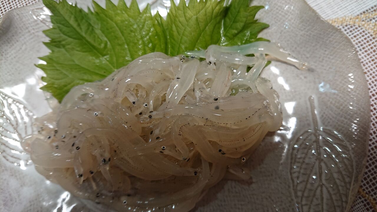 春の訪れ こんにちは のんきです