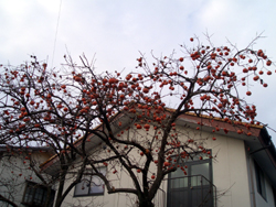 979d715d.jpg