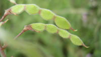 97d5e328.jpg