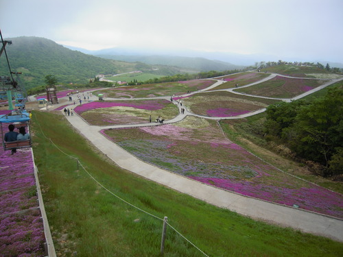 DSCN6244