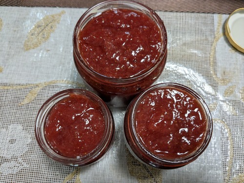 PXL_20250425_025742163